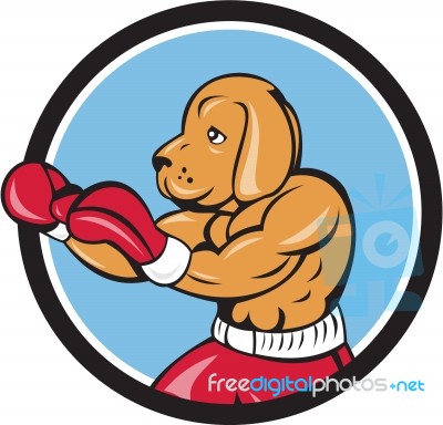 Dog Boxer Fighting Stance Circle Cartoon Stock Image