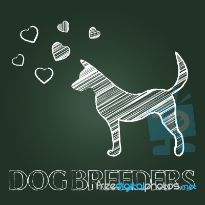 Dog Breeders Shows Puppies Breeds And Canines Stock Image