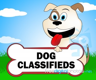 Dog Classifieds Means Media Pedigree And Puppies Stock Image