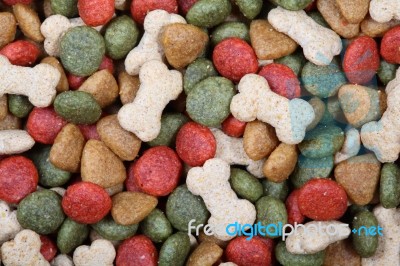 Dog Food Stock Photo