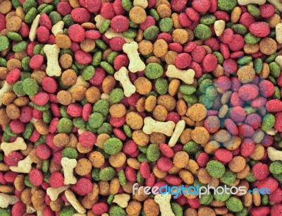 Dog Food Stock Photo