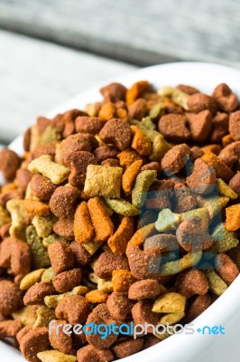 Dog Food Stock Photo