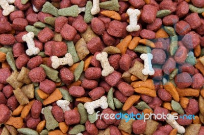 Dog Food Stock Photo