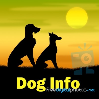 Dog Info Indicates Dogs Canine And Landscape Stock Image