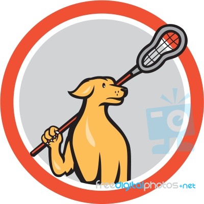 Dog Lacrosse Player Crosse Stick Cartoon Circle Stock Image