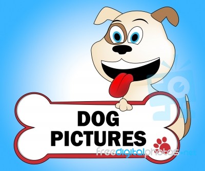 Dog Pictures Represents Doggie Image And Pedigree Stock Image