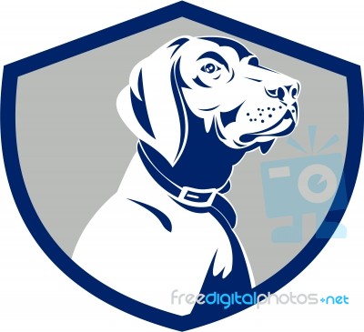 Dog Pointer Head Profile Side Crest Retro Stock Image