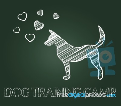 Dog Training Camp Shows Instruction Taught And Canine Stock Image