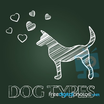 Dog Types Represents Category Classes And Pedigree Stock Image