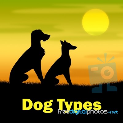 Dog Types Represents Pups Categories And Variety Stock Image