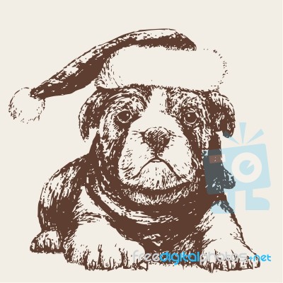 Dog With Santa Claus Hat Hand Drawn Stock Image