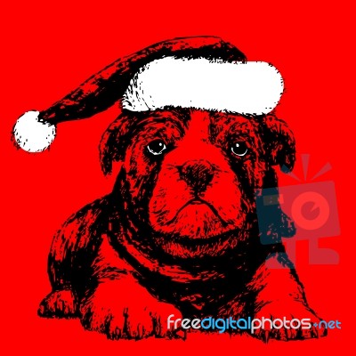 Dog With Santa Claus Hat Hand Drawn Stock Image