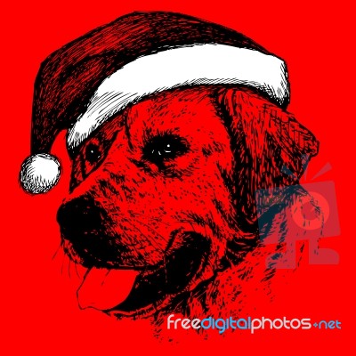 Dog With Santa Claus Hat Hand Drawn Stock Image