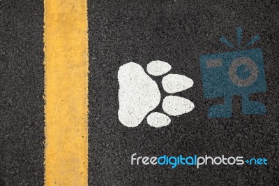 Dogfoot Print On The Road Stock Photo