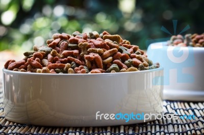 Dogs Food Stock Photo