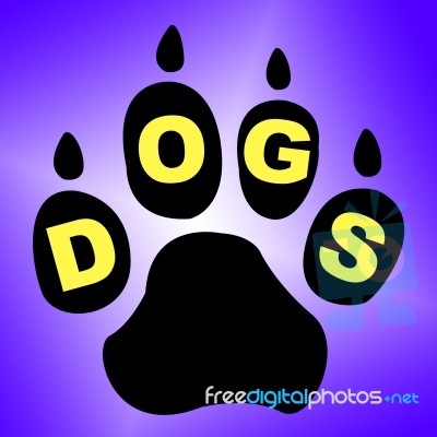 Dogs Paw Means Pets Pup And Pedigree Stock Image