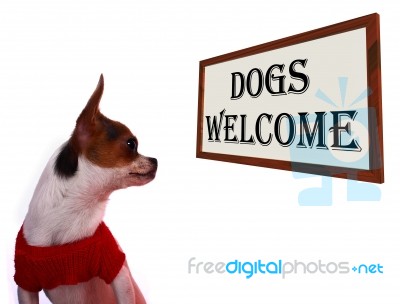 Dogs Welcome Sign Stock Photo