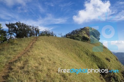 Doi Mon Jong, The Beautiful Mountain, Chiang Mai, Thailand Stock Photo