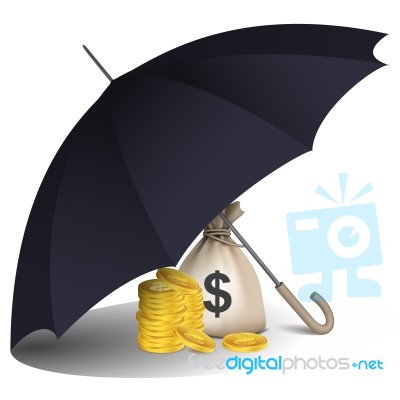 Dollar Bag Under Umbrella Stock Image