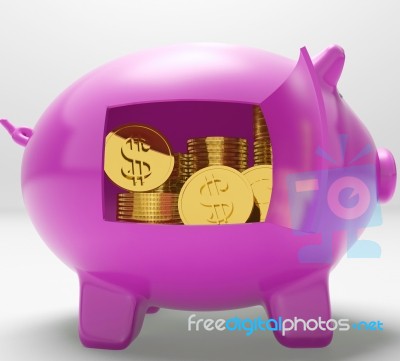 Dollar Coins Piggy Shows Prosperity And Security Stock Image