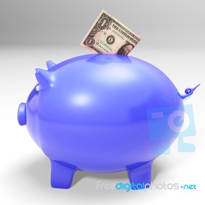 Dollar Entering Piggybank Showing American Savings Stock Image