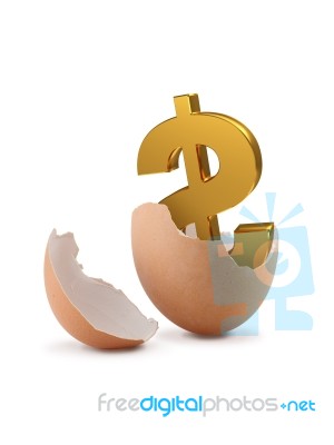 Dollar Sign In Egg Stock Photo