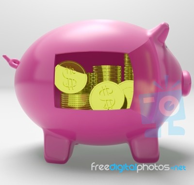 Dollars In Piggy Shows Rich American Fortune Stock Image