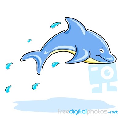 Dolphin Is Jumping Stock Image