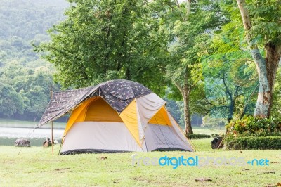 Dome Tents Camping In Forest Stock Photo