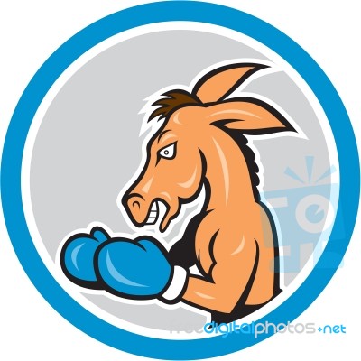 Donkey Boxing Side View Circle Cartoon Stock Image