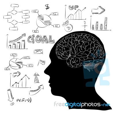 Doodle Human Brain With Infographic Diagram Stock Image