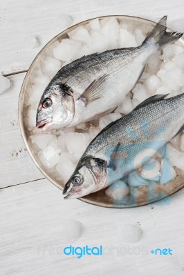 Dorado Fish And Sea Bass On The Metal Plate With Ice Stock Photo