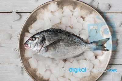 Dorado Fish On The Metal Plate With Ice Stock Photo