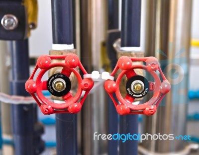 Double Red Valves Stock Photo