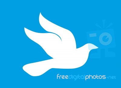 Dove Of Peace Stock Image