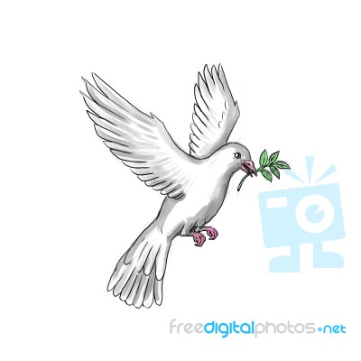 Dove Olive Leaf Tattoo Stock Image