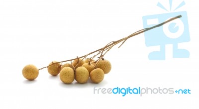 Draft Longan Bouquet On White Floor Stock Photo