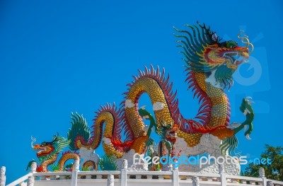 Dragon Chinese In Thailand Stock Photo