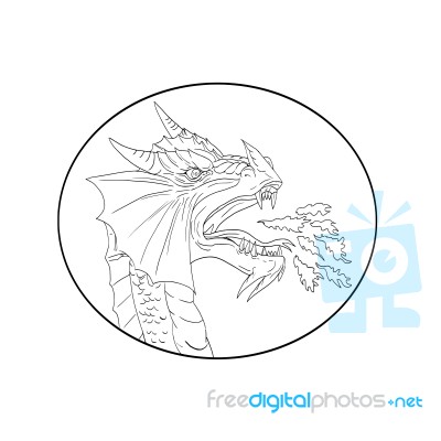 Dragon Fire Circle Drawing Stock Image