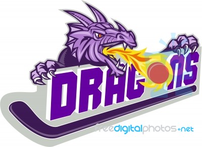 Dragon Fire Puck Hockey Stick Retro Stock Image