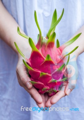 Dragon Fruit Stock Photo