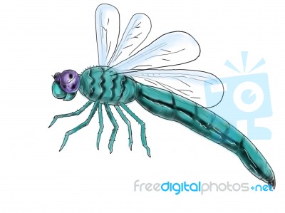 Dragonfly Flying Color Drawing Stock Image