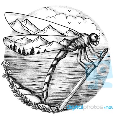 Dragonfly  Mountain Inside Wings Tattoo Stock Image