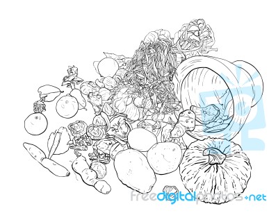 Drawing Still Life Of Food And Vegetable Stock Image