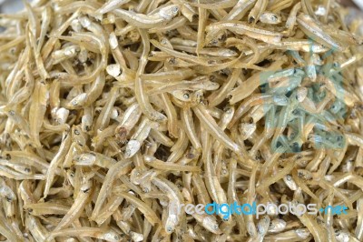 Dried Anchovies Stock Photo