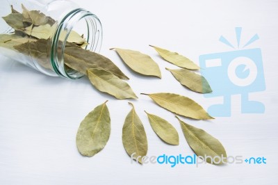 Dried Bay Leaves In Glass Jar On White Wooden Background Stock Photo