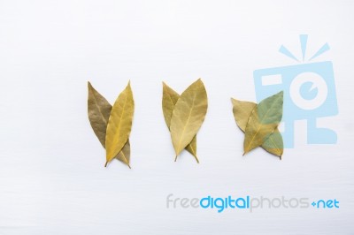 Dried Bay Leaves On White Wooden Background Stock Photo