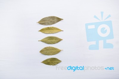 Dried Bay Leaves On White Wooden Background Stock Photo