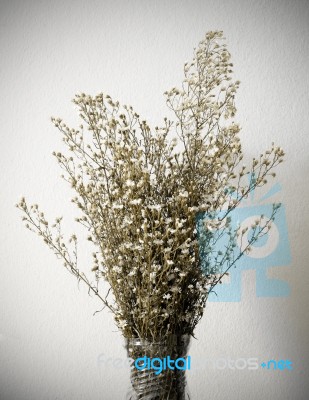 Dried Bouquet Of White Flowers In Vase Stock Photo