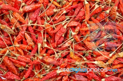 Dried Chillis Stock Photo